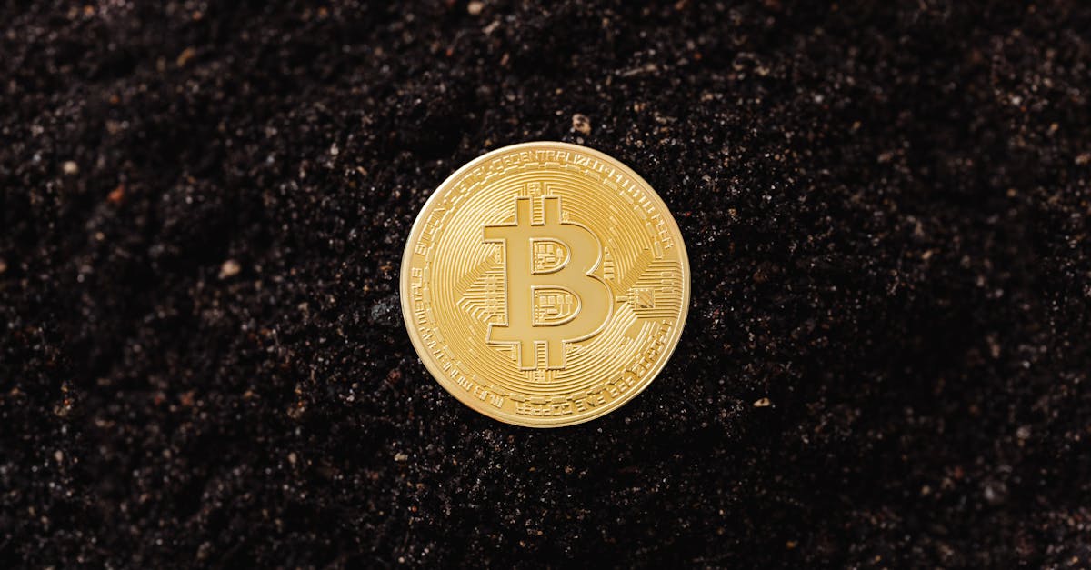 Perspectives d'Avenir : Vers une DeFi Plus Résiliente ?