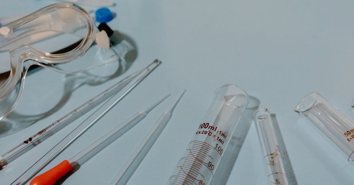 Analyse du Prix du BIO : Dynamiques de Marché et Facteurs d'Investissement