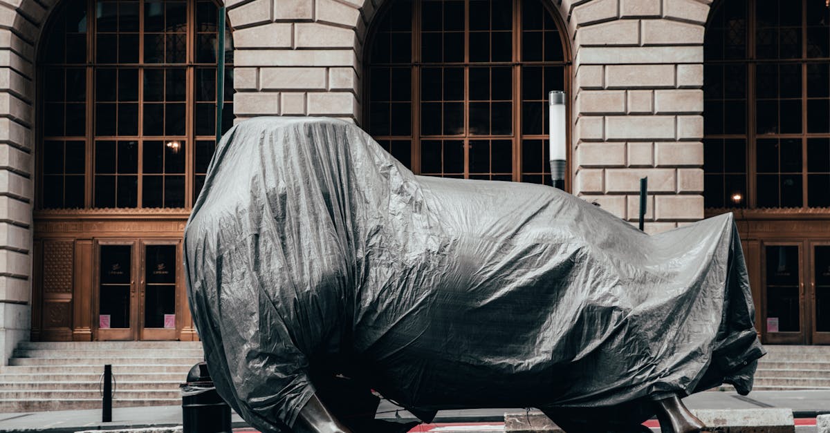 Mouvements de whales et flux institutionnels : qui achète ?