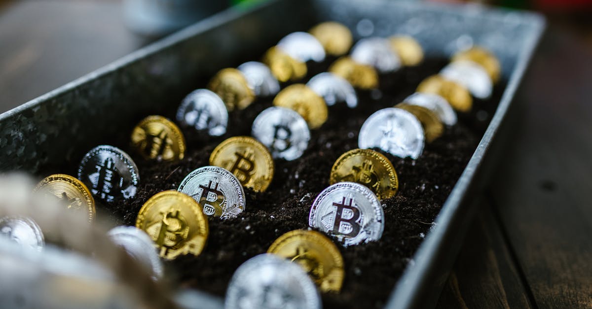 Perspectives d'Avenir : Convergence Blockchain, IA et Finance