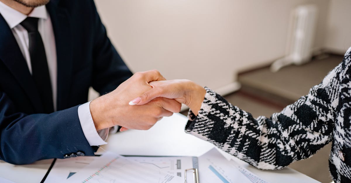 Les Synergies Potentielles et les Défis d'Intégration