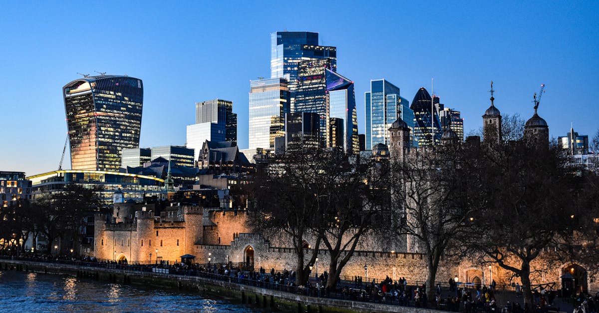 Conclusion : Une Révolution Inarrêtable et ses Promesses pour l'Investisseur Moderne