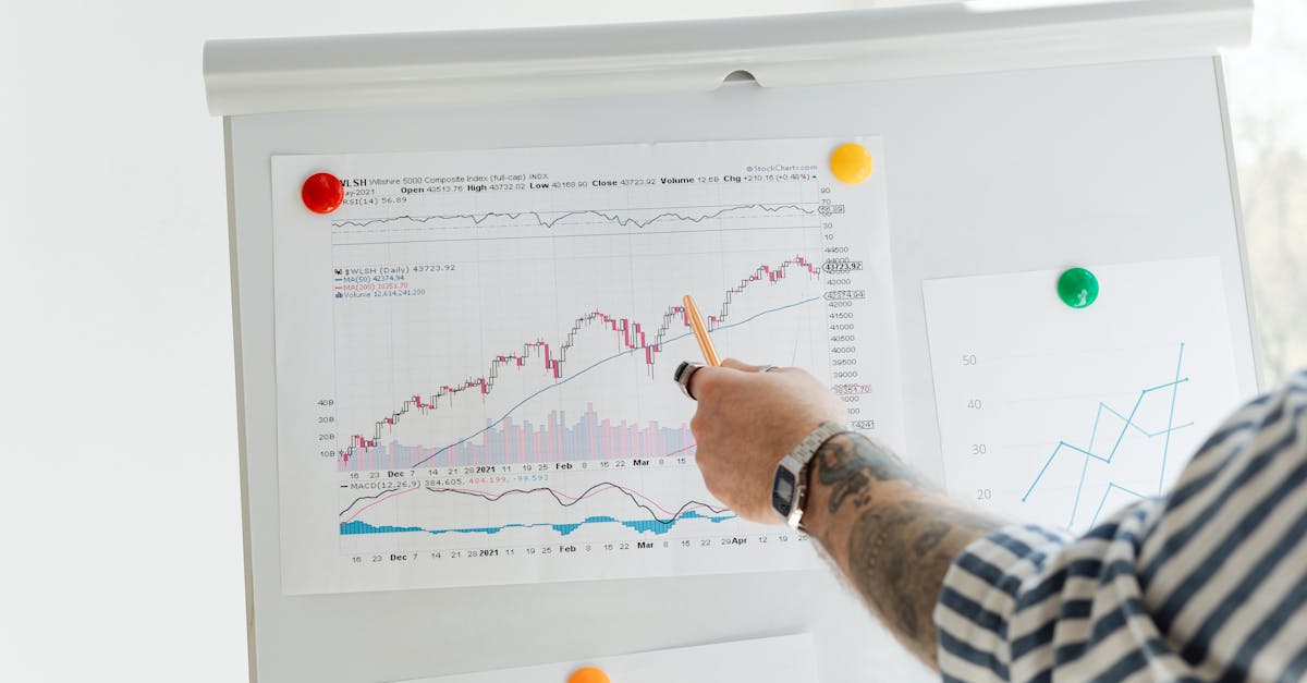 Les Secteurs Phares : Fintech, E-commerce et Énergies Vertes en Pointe