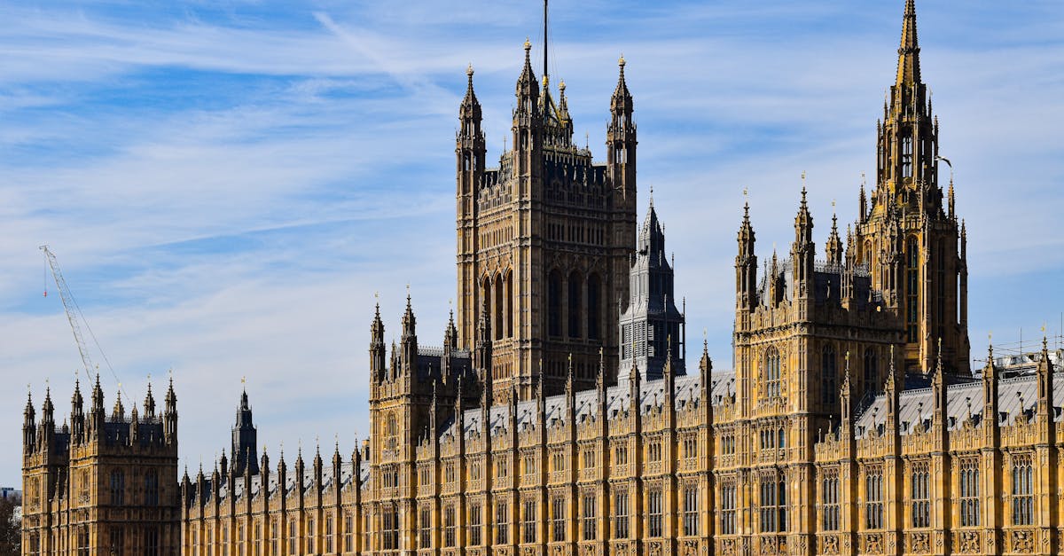 Le Rôle des Plateformes d'IA dans un Marché Crypto Réglementé